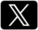 公式X